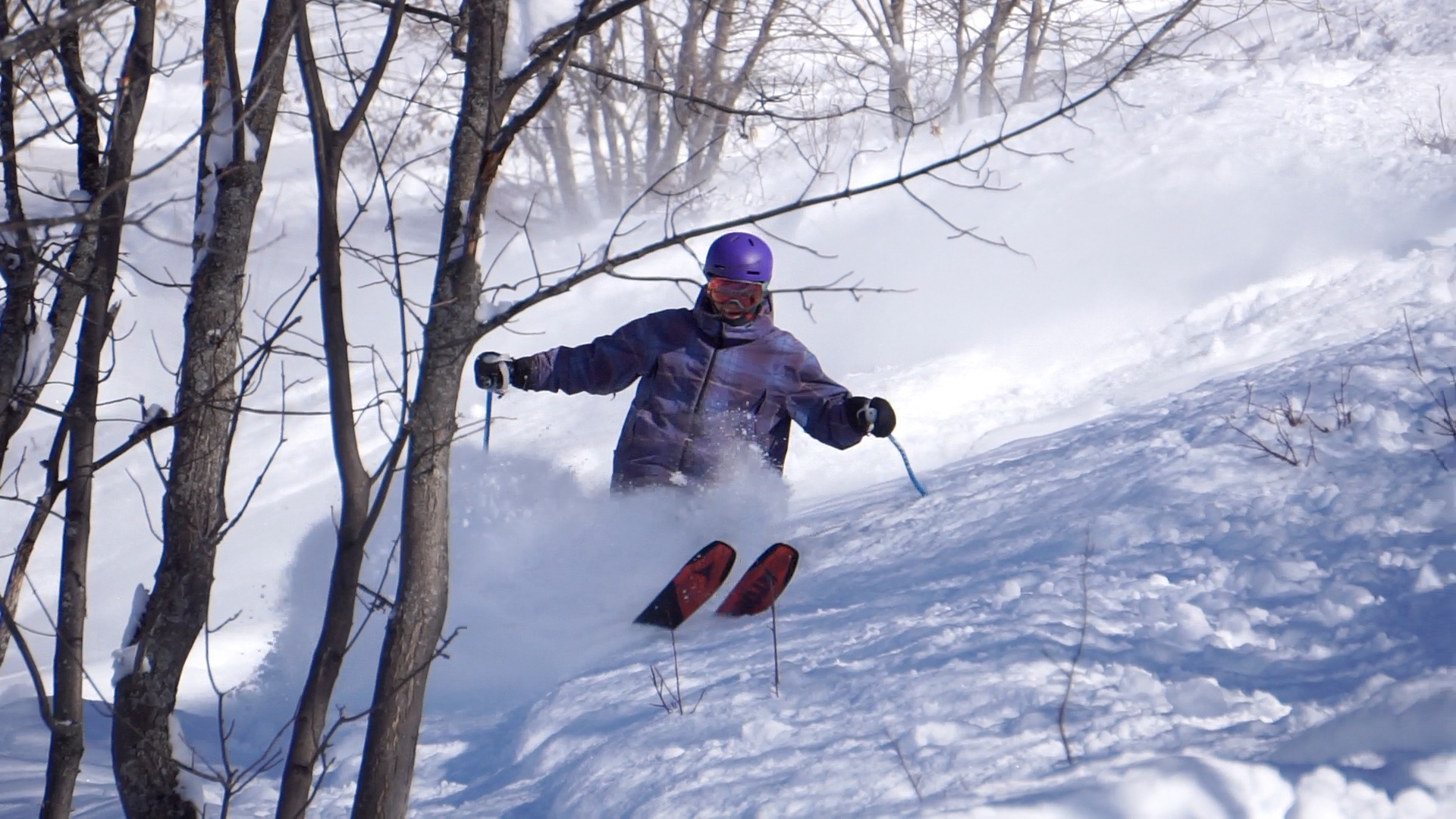 Skier making a powder turn through snowy woodland